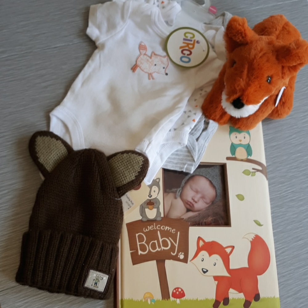 Fox baby bundle